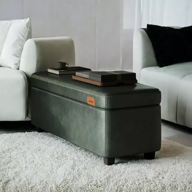 Panca Contenitore, Panca da Letto Contenitore, Panca da Ingresso, Ottomana con Cerniere di Sicurezza, Carico 300 kg