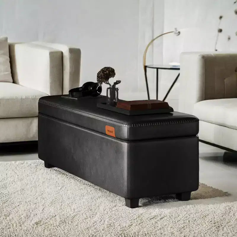 Panca Contenitore, Panca da Letto Contenitore, Panca da Ingresso, Ottomana con Cerniere di Sicurezza, Carico 300 kg